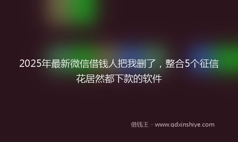 2025年最新微信借钱人把我删了，整合5个征信花居然都下款的软件