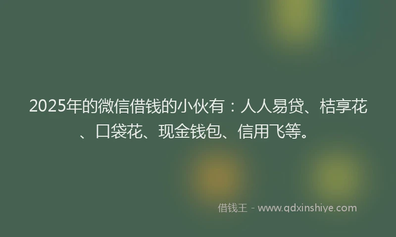 2025年的微信借钱的小伙有：人人易贷、桔享花、口袋花、现金钱包、信用飞等。