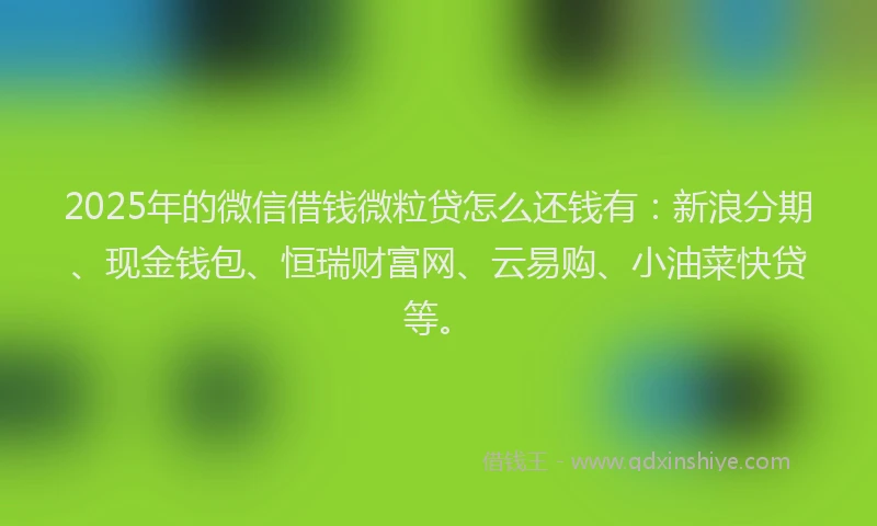 2025年的微信借钱微粒贷怎么还钱有:新浪分期、现金钱包、恒瑞财富网、云易购、小油菜快贷等。