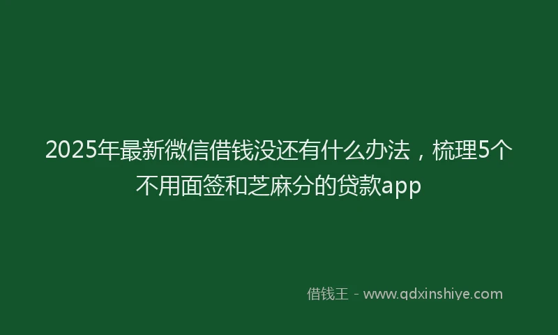 2025年最新微信借钱没还有什么办法，梳理5个不用面签和芝麻分的贷款app