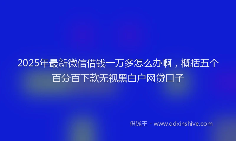 2025年最新微信借钱一万多怎么办啊，概括五个百分百下款无视黑白户网贷口子