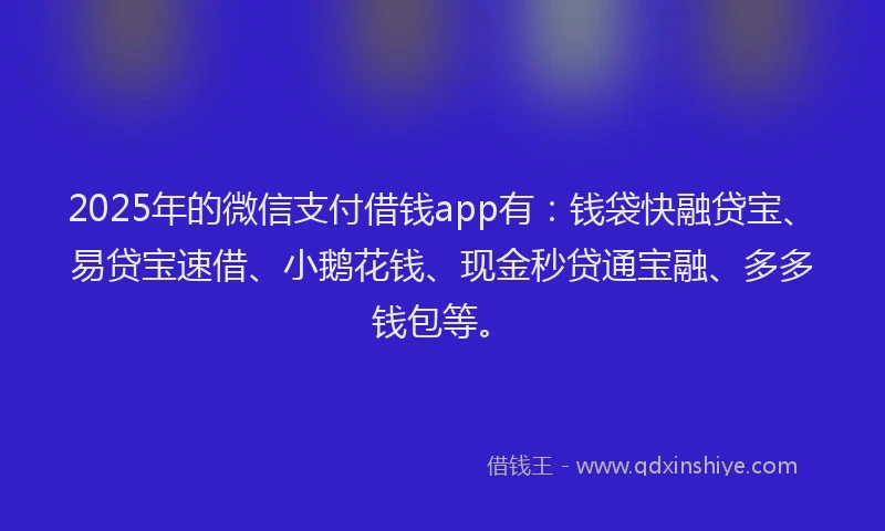 2025年的微信支付借钱app有：钱袋快融贷宝、易贷宝速借、小鹅花钱、现金秒贷通宝融、多多钱包等。