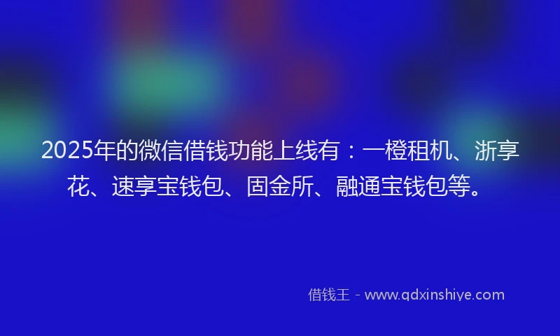 2025年的微信借钱功能上线有：一橙租机、浙享花、速享宝钱包、固金所、融通宝钱包等。