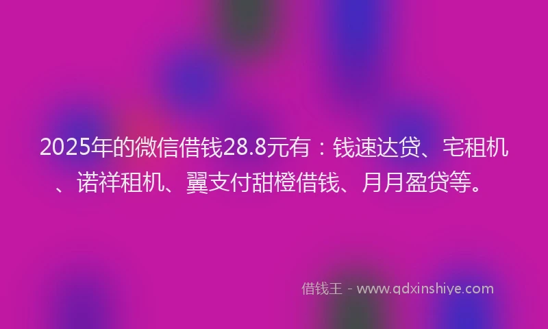 2025年的微信借钱28.8元有：钱速达贷、宅租机、诺祥租机、翼支付甜橙借钱、月月盈贷等。