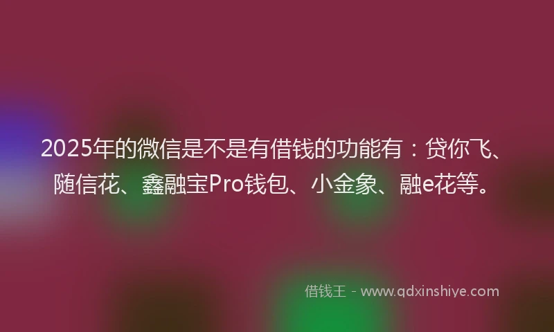 2025年的微信是不是有借钱的功能有:贷你飞、随信花、鑫融宝Pro钱包、小金象、融e花等。