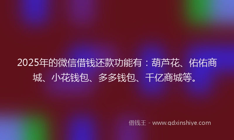 2025年的微信借钱还款功能有：葫芦花、佑佑商城、小花钱包、多多钱包、千亿商城等。
