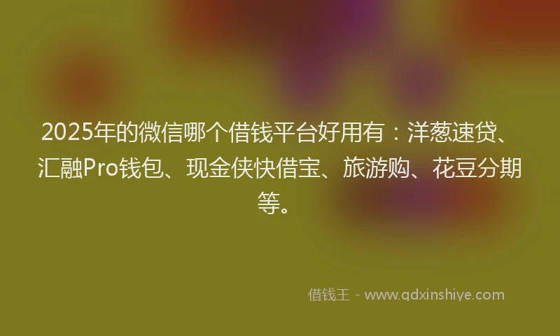 2025年的微信哪个借钱平台好用有：洋葱速贷、汇融Pro钱包、现金侠快借宝、旅游购、花豆分期等。