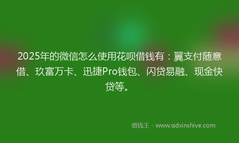 2025年的微信怎么使用花呗借钱有：翼支付随意借、玖富万卡、迅捷Pro钱包、闪贷易融、现金快贷等。