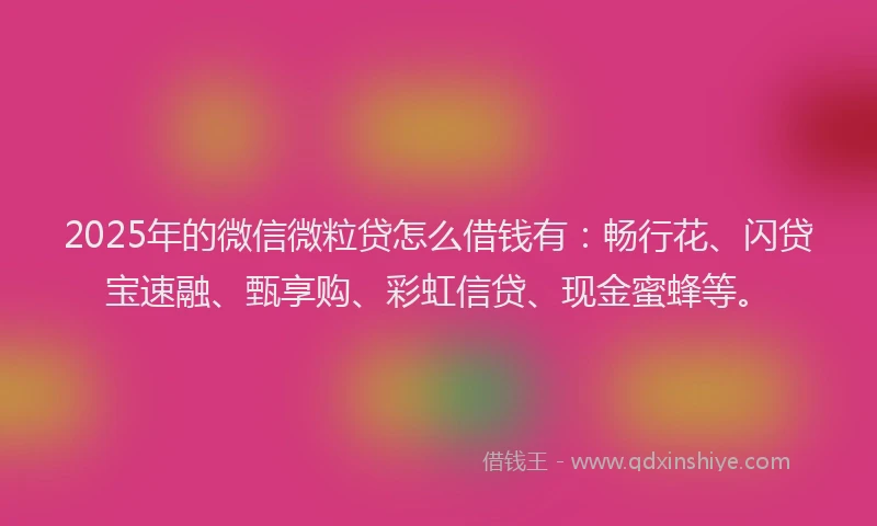 2025年的微信微粒贷怎么借钱有：畅行花、闪贷宝速融、甄享购、彩虹信贷、现金蜜蜂等。