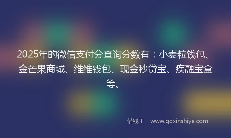 2025年的微信支付分查询分数有：小麦粒钱包、金芒果商城、维维钱包、现金秒贷宝、疾融宝盒等。