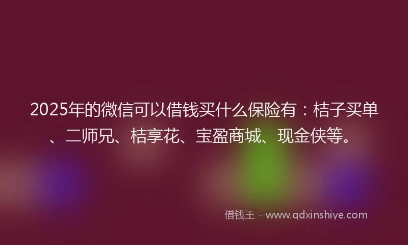 2025年的微信可以借钱买什么保险有：桔子买单、二师兄、桔享花、宝盈商城、现金侠等。