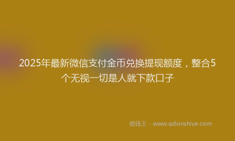 2025年最新微信支付金币兑换提现额度，整合5个无视一切是人就下款口子