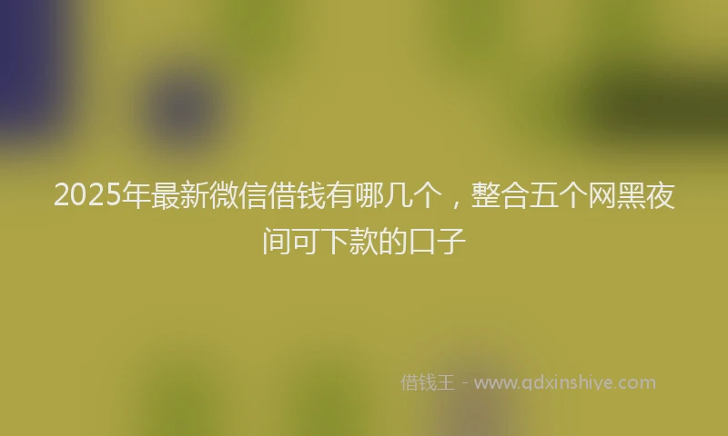 2025年最新微信借钱有哪几个，整合五个网黑夜间可下款的口子