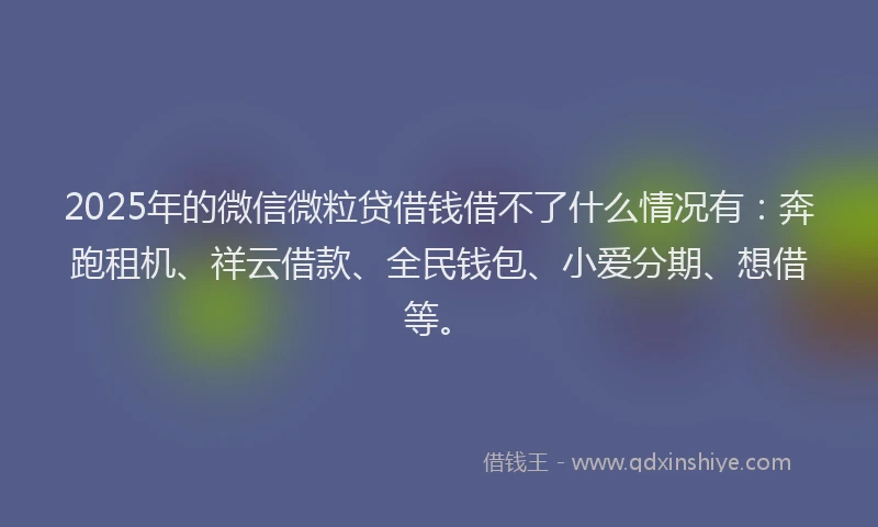 2025年的微信微粒贷借钱借不了什么情况有：奔跑租机、祥云借款、全民钱包、小爱分期、想借等。