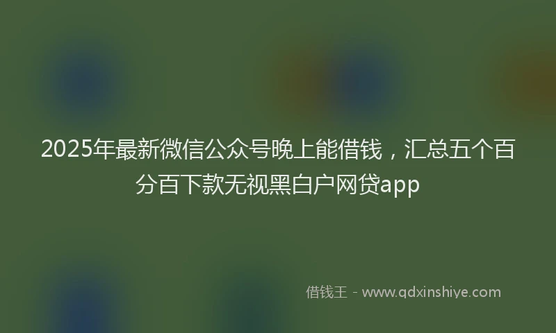 2025年最新微信公众号晚上能借钱，汇总五个百分百下款无视黑白户网贷app
