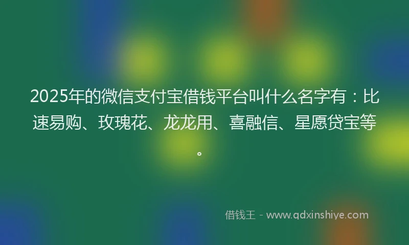 2025年的微信支付宝借钱平台叫什么名字有：比速易购、玫瑰花、龙龙用、喜融信、星愿贷宝等。