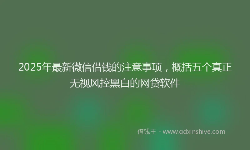 2025年最新微信借钱的注意事项，概括五个真正无视风控黑白的网贷软件