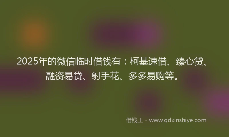 2025年的微信临时借钱有：柯基速借、臻心贷、融资易贷、射手花、多多易购等。
