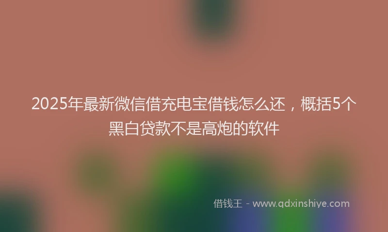 2025年最新微信借充电宝借钱怎么还，概括5个黑白贷款不是高炮的软件