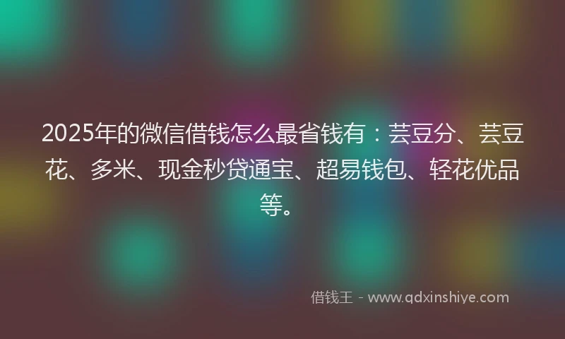 2025年的微信借钱怎么最省钱有：芸豆分、芸豆花、多米、现金秒贷通宝、超易钱包、轻花优品等。