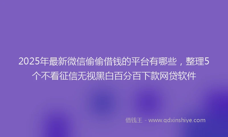 2025年最新微信偷偷借钱的平台有哪些，整理5个不看征信无视黑白百分百下款网贷软件