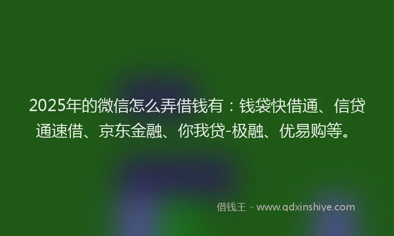 2025年的微信怎么弄借钱有：钱袋快借通、信贷通速借、京东金融、你我贷-极融、优易购等。