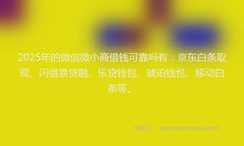2025年的微信微小商借钱可靠吗有：京东白条取现、闪借易贷融、乐贷钱包、琥珀钱包、移动白条等。