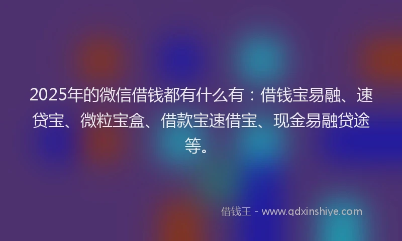 2025年的微信借钱都有什么有：借钱宝易融、速贷宝、微粒宝盒、借款宝速借宝、现金易融贷途等。