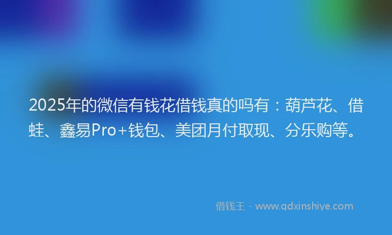 2025年的微信有钱花借钱真的吗有：葫芦花、借蛙、鑫易Pro+钱包、美团月付取现、分乐购等。
