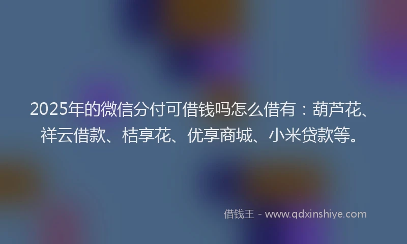 2025年的微信分付可借钱吗怎么借有：葫芦花、祥云借款、桔享花、优享商城、小米贷款等。