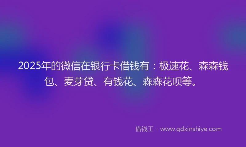 2025年的微信在银行卡借钱有：极速花、森森钱包、麦芽贷、有钱花、森森花呗等。