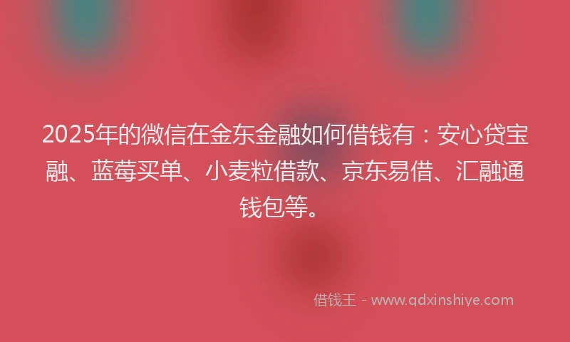 2025年的微信在金东金融如何借钱有：安心贷宝融、蓝莓买单、小麦粒借款、京东易借、汇融通钱包等。