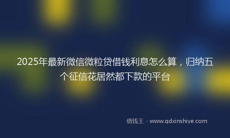 2025年最新微信微粒贷借钱利息怎么算，归纳五个征信花居然都下款的平台