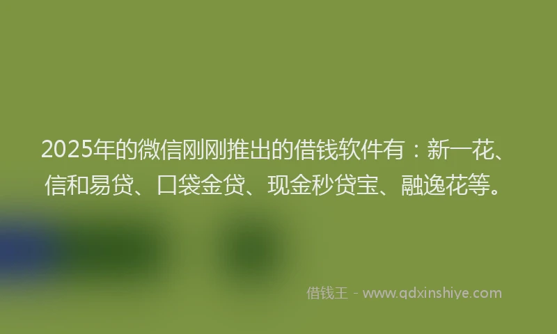2025年的微信刚刚推出的借钱软件有：新一花、信和易贷、口袋金贷、现金秒贷宝、融逸花等。