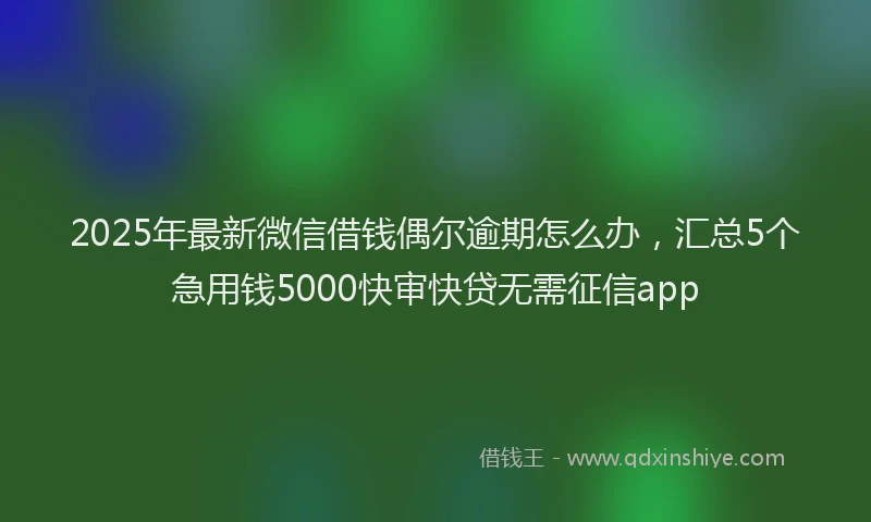 2025年最新微信借钱偶尔逾期怎么办，汇总5个急用钱5000快审快贷无需征信app