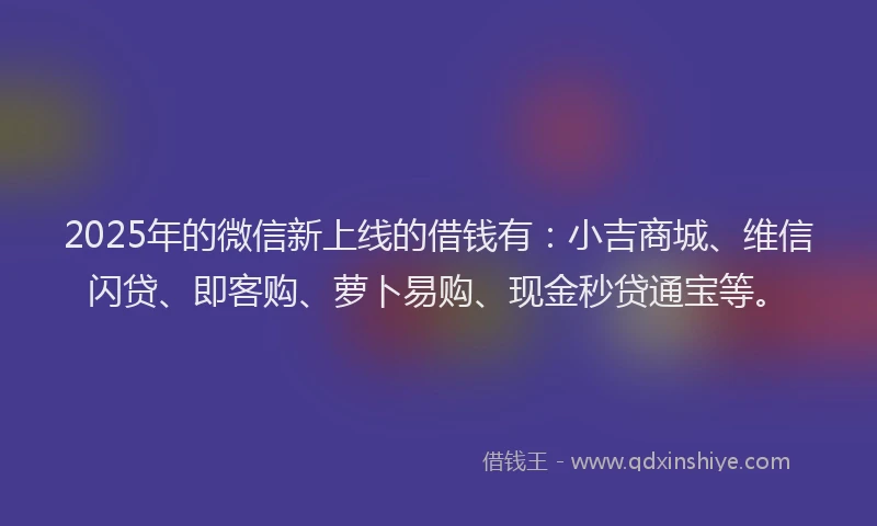 2025年的微信新上线的借钱有：小吉商城、维信闪贷、即客购、萝卜易购、现金秒贷通宝等。