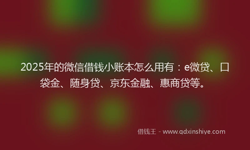 2025年的微信借钱小账本怎么用有：e微贷、口袋金、随身贷、京东金融、惠商贷等。
