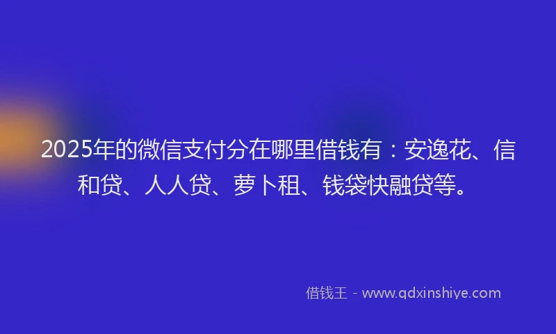2025年的微信支付分在哪里借钱有：安逸花、信和贷、人人贷、萝卜租、钱袋快融贷等。