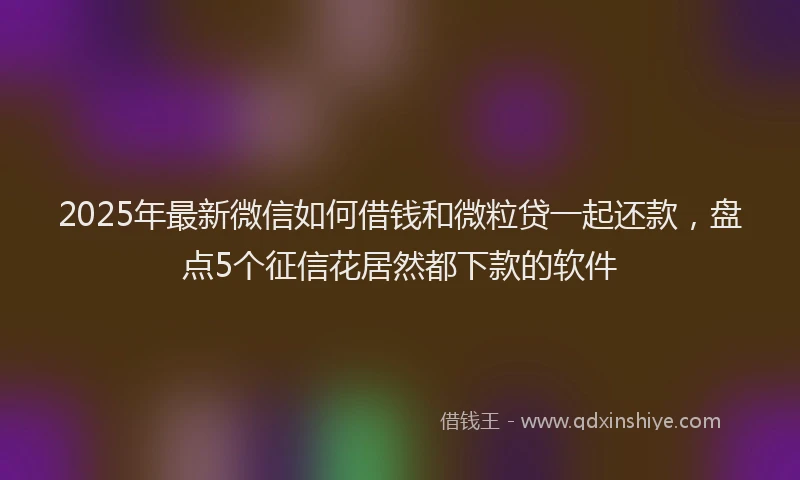 2025年最新微信如何借钱和微粒贷一起还款，盘点5个征信花居然都下款的软件