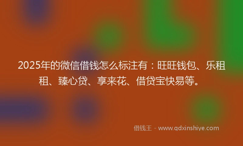 2025年的微信借钱怎么标注有：旺旺钱包、乐租租、臻心贷、享来花、借贷宝快易等。