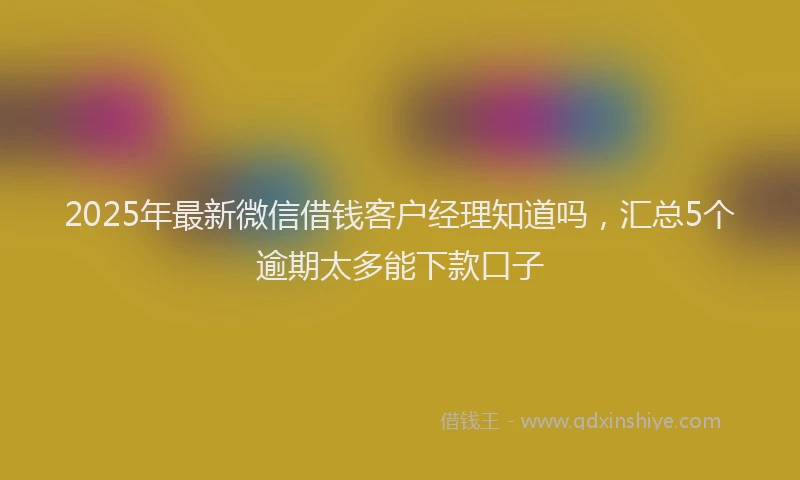 2025年最新微信借钱客户经理知道吗，汇总5个逾期太多能下款口子