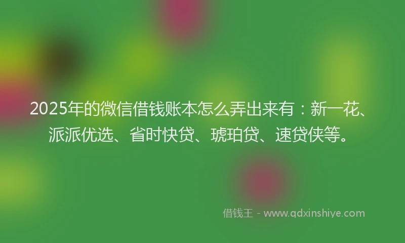 2025年的微信借钱账本怎么弄出来有：新一花、派派优选、省时快贷、琥珀贷、速贷侠等。