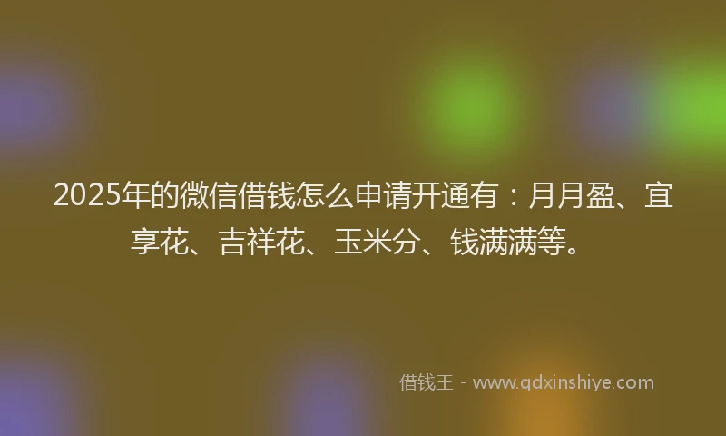 2025年的微信借钱怎么申请开通有：月月盈、宜享花、吉祥花、玉米分、钱满满等。