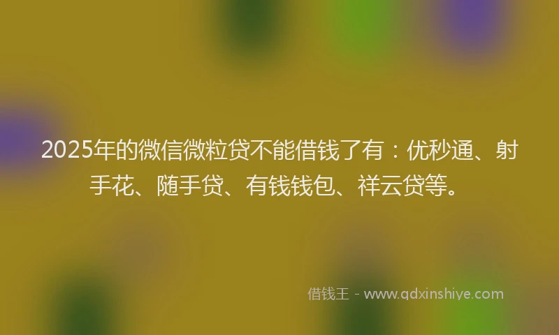 2025年的微信微粒贷不能借钱了有：优秒通、射手花、随手贷、有钱钱包、祥云贷等。