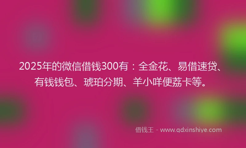 2025年的微信借钱300有：全金花、易借速贷、有钱钱包、琥珀分期、羊小咩便荔卡等。