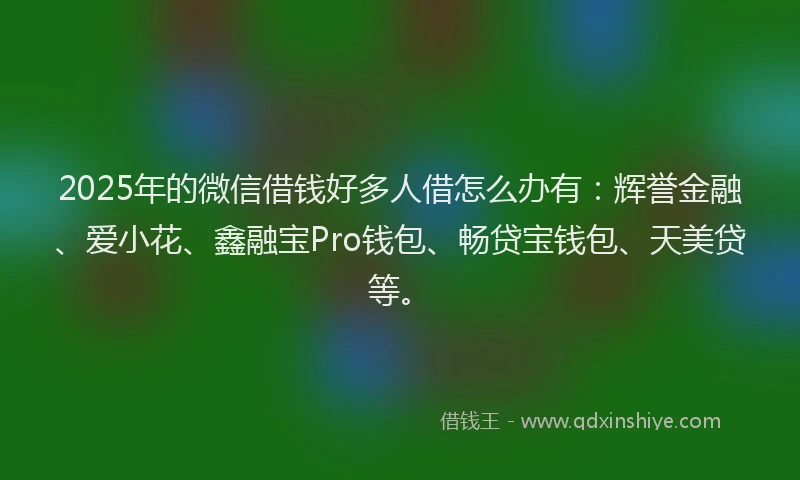 2025年的微信借钱好多人借怎么办有：辉誉金融、爱小花、鑫融宝Pro钱包、畅贷宝钱包、天美贷等。