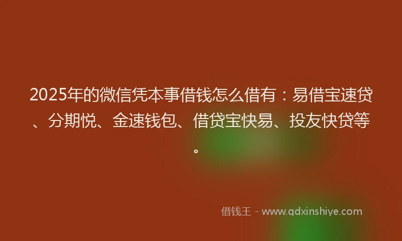 2025年的微信凭本事借钱怎么借有：易借宝速贷、分期悦、金速钱包、借贷宝快易、投友快贷等。