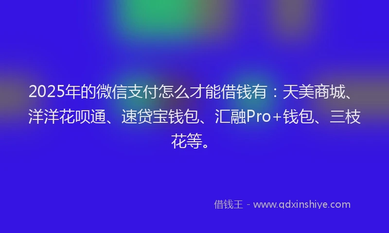 2025年的微信支付怎么才能借钱有：天美商城、洋洋花呗通、速贷宝钱包、汇融Pro+钱包、三枝花等。