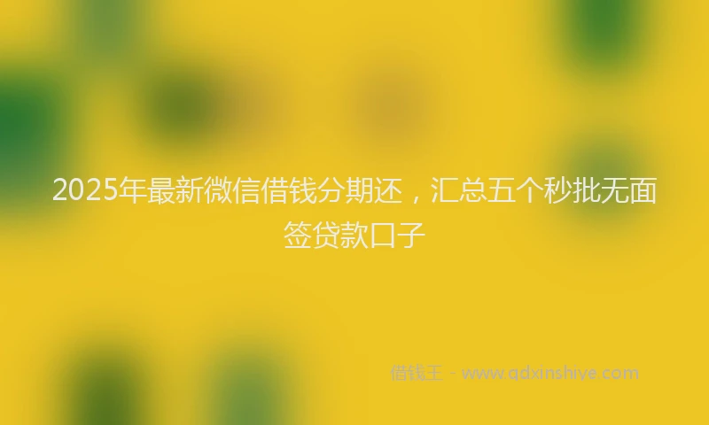 2025年最新微信借钱分期还，汇总五个秒批无面签贷款口子