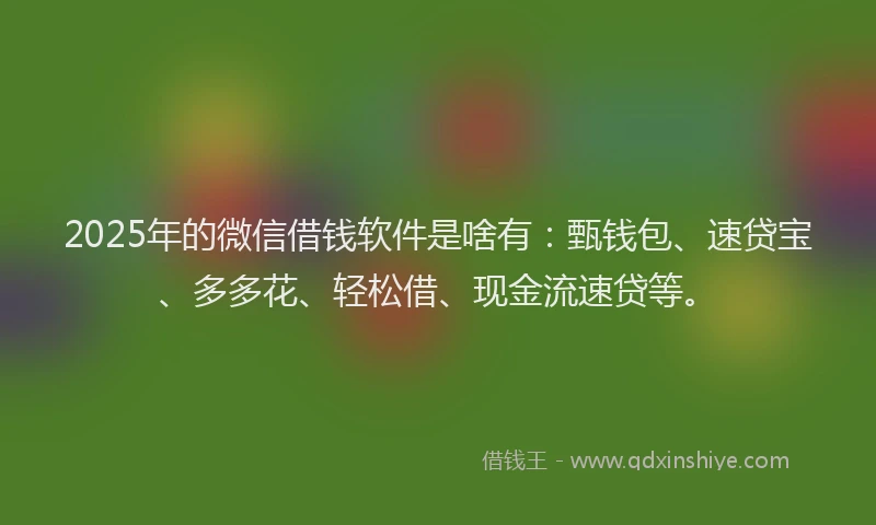 2025年的微信借钱软件是啥有：甄钱包、速贷宝、多多花、轻松借、现金流速贷等。